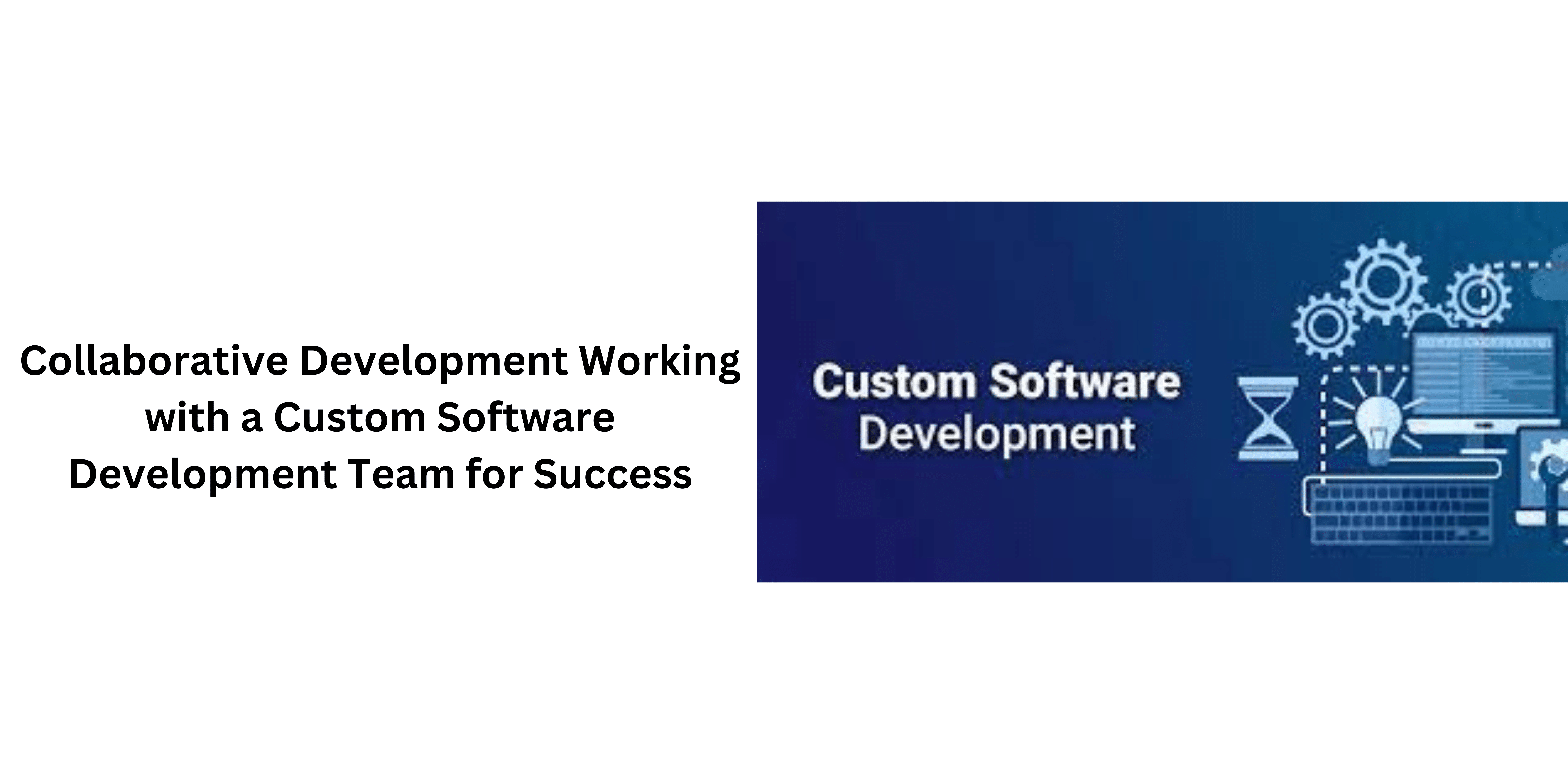 custom software development team.