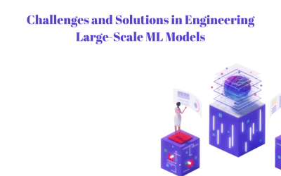 Challenges and Solutions in Engineering Large-Scale ML Models