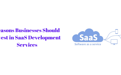 Reasons Businesses Should Invest in SaaS Development Services