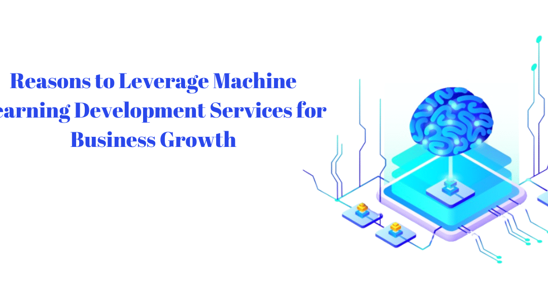 Reasons to Leverage Machine Learning Development Services for Business Growth