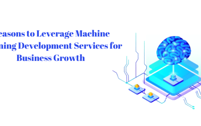 Reasons to Leverage Machine Learning Development Services for Business Growth