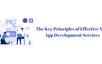 The Key Principles of Effective Web App Development Services