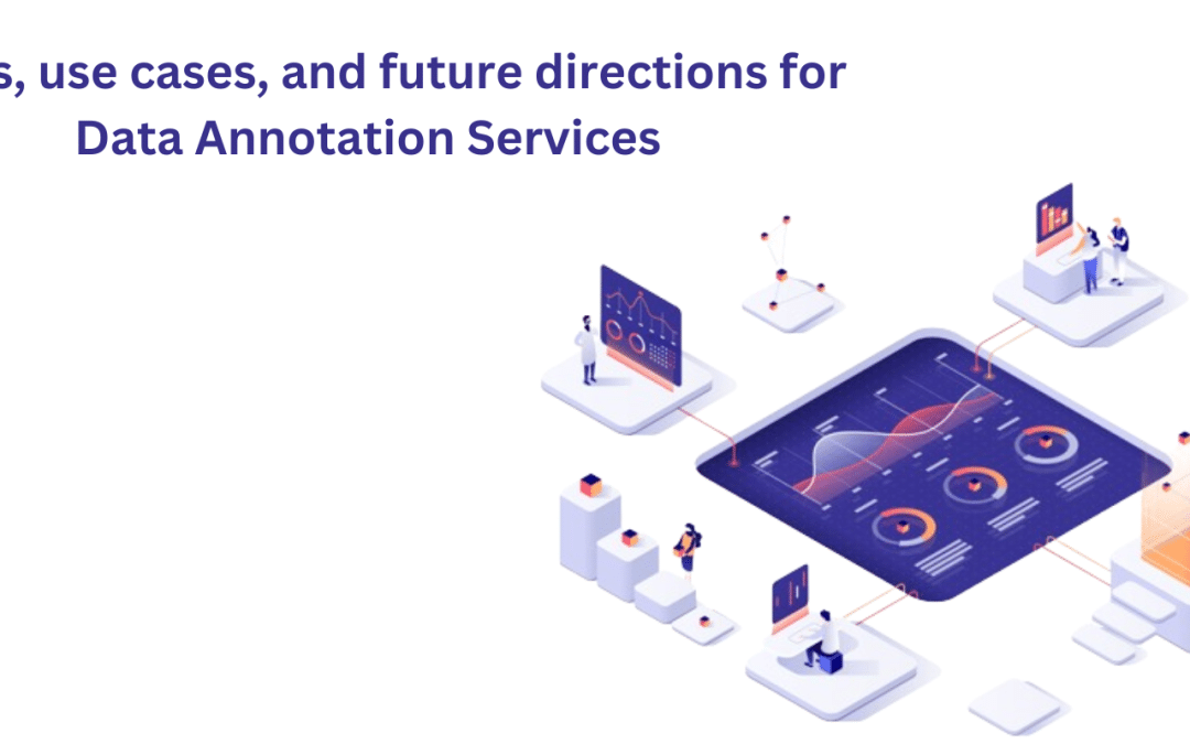 Tools, Use Cases, and Future Directions for Data Annotation Services