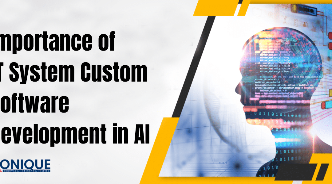 Importance of IT System Custom Software Development in AI