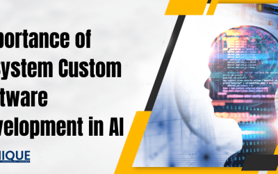 Importance of IT System Custom Software Development in AI