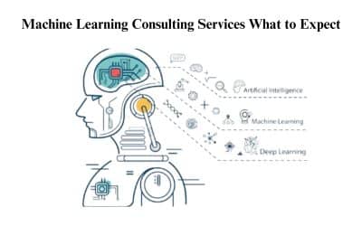 Machine Learning Consulting Services: What to Expect?