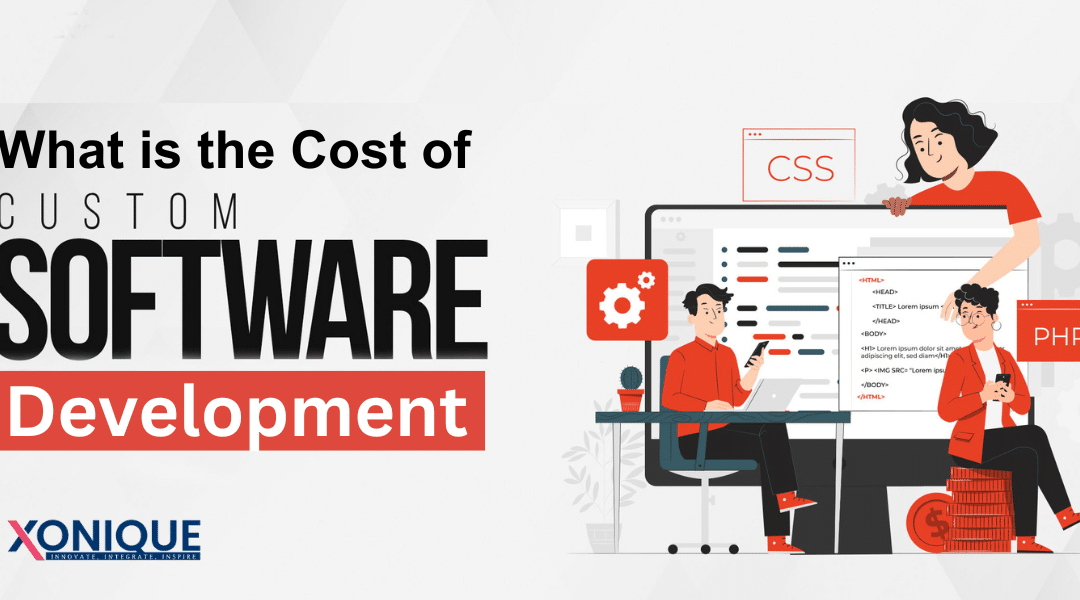 What is the Cost of Custom Software Development?