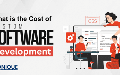 What is the Cost of Custom Software Development?